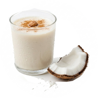 Ingrediente natural de Horchata Coco